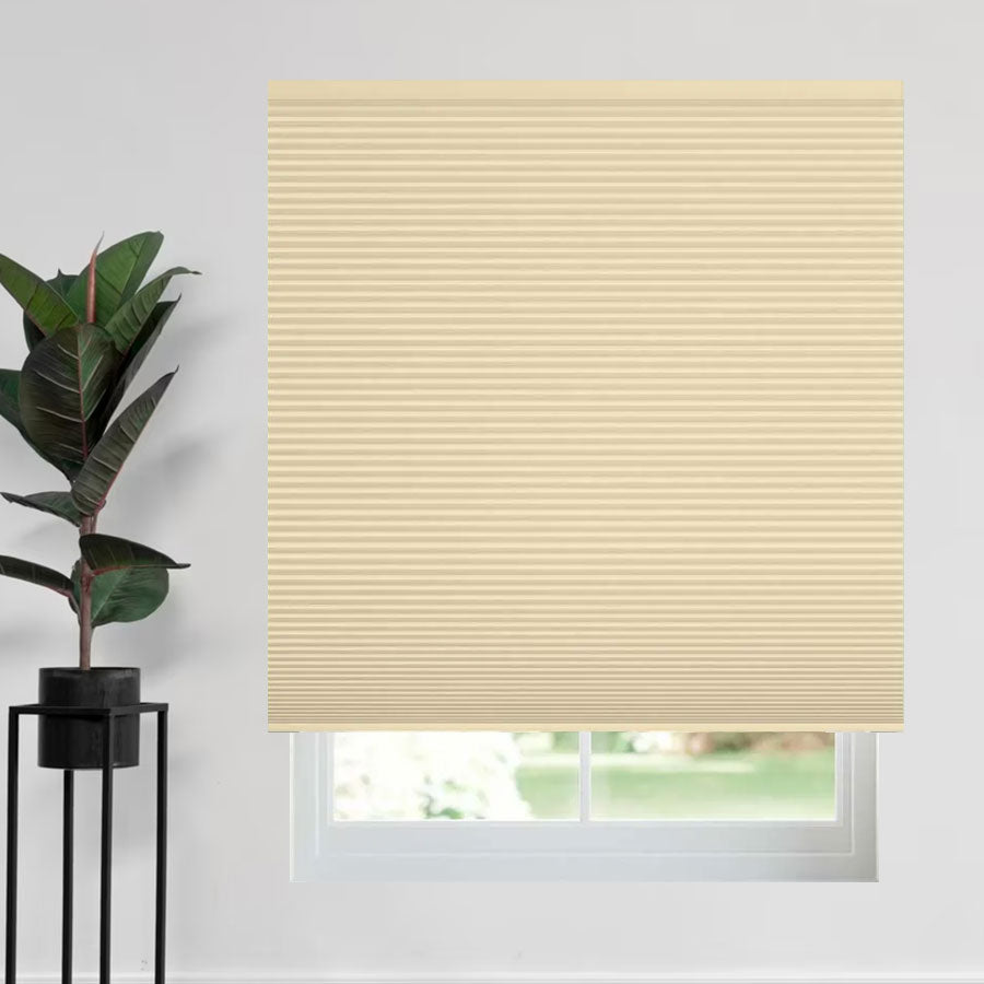 Minimalist Blackout Cellular Shades