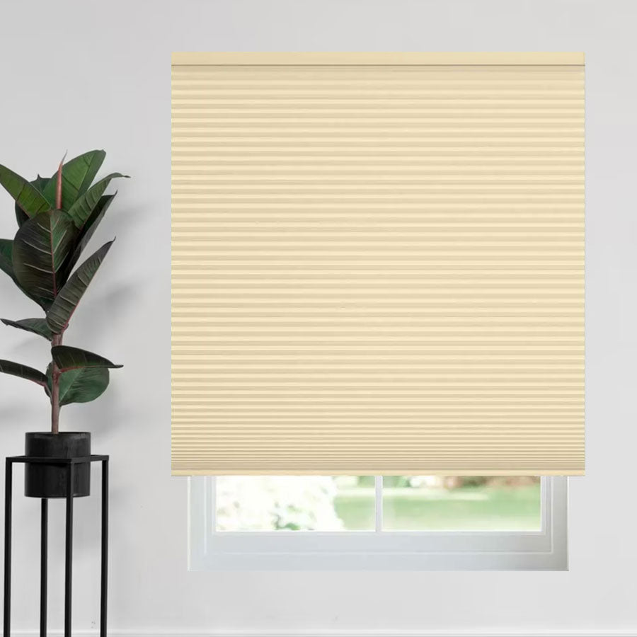 Minimalist Blackout Cellular Shades