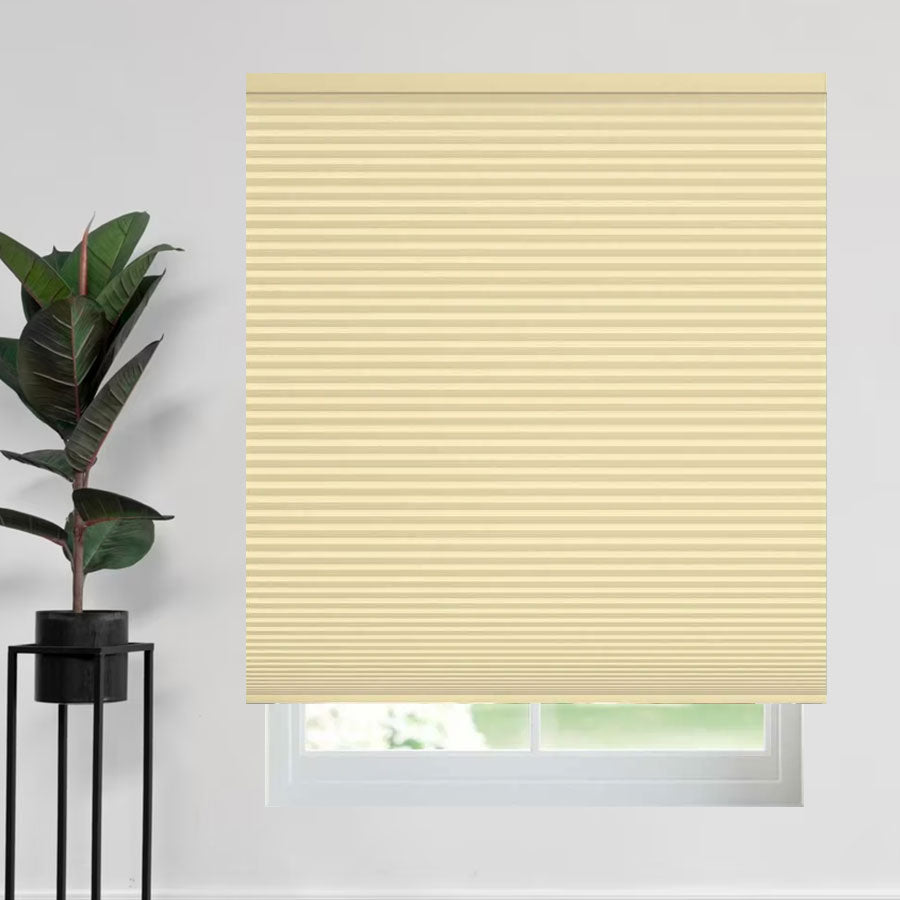 Minimalist Blackout Cellular Shades